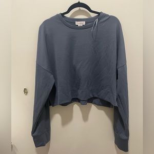 Long Sleeve Cropped Top